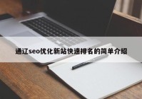 通辽seo优化新站快速排名的简单介绍