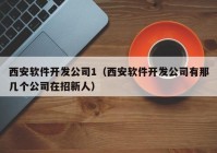 西安软件开发公司1（西安软件开发公司有那几个公司在招新人）