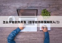 怎么学做软件开发（想学软件开发如何入门）