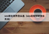 seo优化软件怎么选（seo比较好的优化方法）