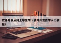 软件开发从网上哪里学（软件开发自学入门教程）