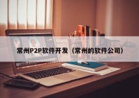 常州P2P软件开发（常州的软件公司）