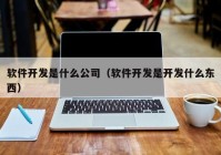 软件开发是什么公司（软件开发是开发什么东西）