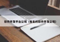 软件开发平台公司（有名的软件开发公司）