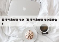 软件开发所属行业（软件开发所属行业是什么）