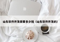 山东软件开发需要多少钱（山东软件开发的）