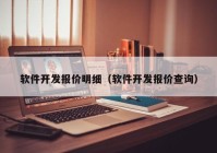 软件开发报价明细（软件开发报价查询）