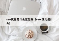 seo优化是什么意思呢（seo 优化是什么）