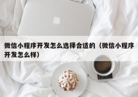 微信小程序开发怎么选择合适的（微信小程序开发怎么样）