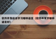 软件开发应该学习哪种语言（软件开发学哪种语言好）