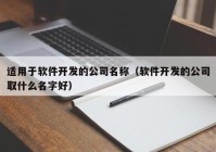 适用于软件开发的公司名称（软件开发的公司取什么名字好）