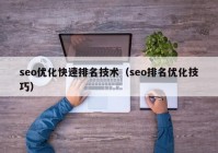 seo优化快速排名技术（seo排名优化技巧）