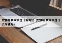 软件开发大学选什么专业（软件开发大学选什么专业好）