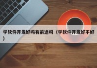 学软件开发好吗有前途吗（学软件开发好不好）