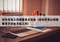 软件开发公司需要多少资金（软件开发公司需要多少资金才能上市）