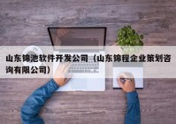 山东锦池软件开发公司（山东锦程企业策划咨询有限公司）