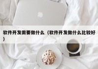 软件开发需要做什么（软件开发做什么比较好）