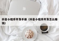 抖音小程序开发手册（抖音小程序开发怎么赚钱）