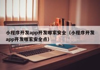 小程序开发app开发哪家安全（小程序开发app开发哪家安全点）