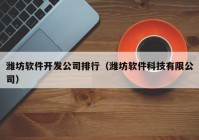 潍坊软件开发公司排行（潍坊软件科技有限公司）