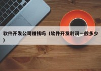 软件开发公司赚钱吗（软件开发利润一般多少）