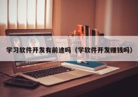 学习软件开发有前途吗（学软件开发赚钱吗）