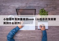 小程序开发需要用到ssm（小程序开发需要用到什么软件）