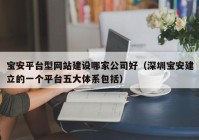 宝安平台型网站建设哪家公司好（深圳宝安建立的一个平台五大体系包括）