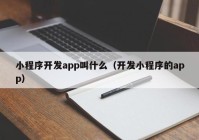 小程序开发app叫什么（开发小程序的app）