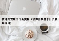 软件开发属于什么费用（软件开发属于什么费用科目）