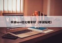 亭湖seo优化哪家好（亭湖贴吧）