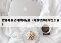 软件开发公司如何起名（开发软件名字怎么取）