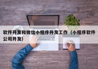 软件开发和微信小程序开发工作（小程序软件公司开发）