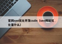 官网seo优化开发csdn（seo网站优化是什么）