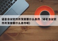 语音会议软件开发需要什么条件（语音会议软件开发需要什么条件呢）