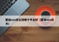 整站seo优化找哪个平台好（整站seo技术）