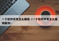 一个软件开发怎么赚钱（一个软件开发怎么赚钱最快）