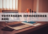 学软件开发有前途吗（软件测试培训包就业是真的吗）