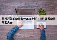 软件开发的公司取什么名字好（软件开发公司取名大全）