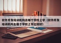 软件开发培训机构去哪个学校上学（软件开发培训机构去哪个学校上学比较好）