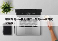 哪有东莞seo优化推广（东莞seo网站优化运营）